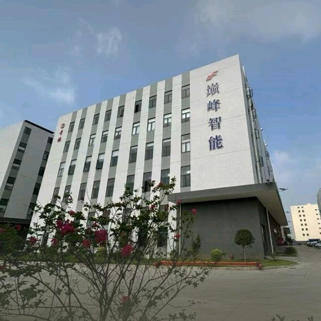 惠州市巅峰电子有限公司