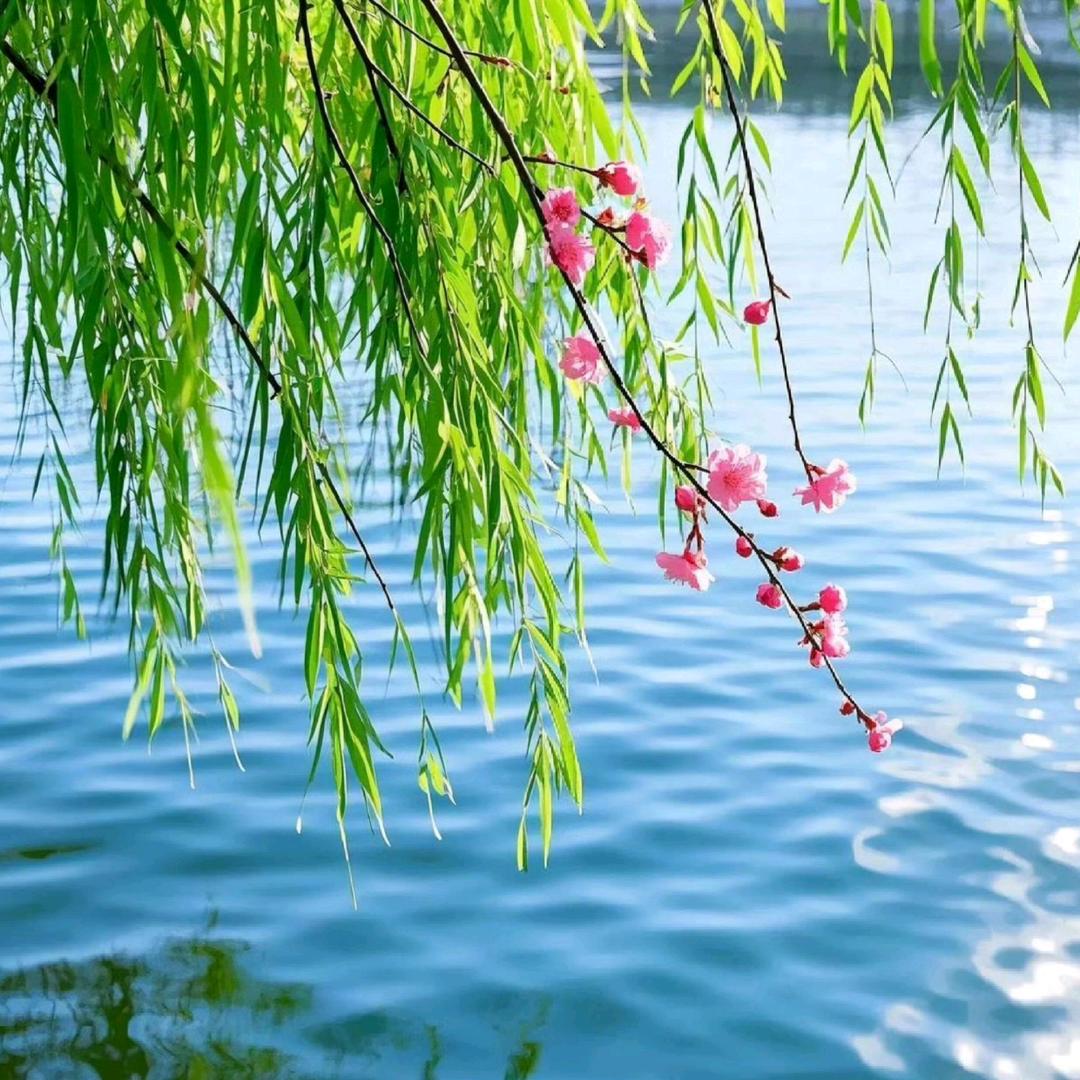 风的季节