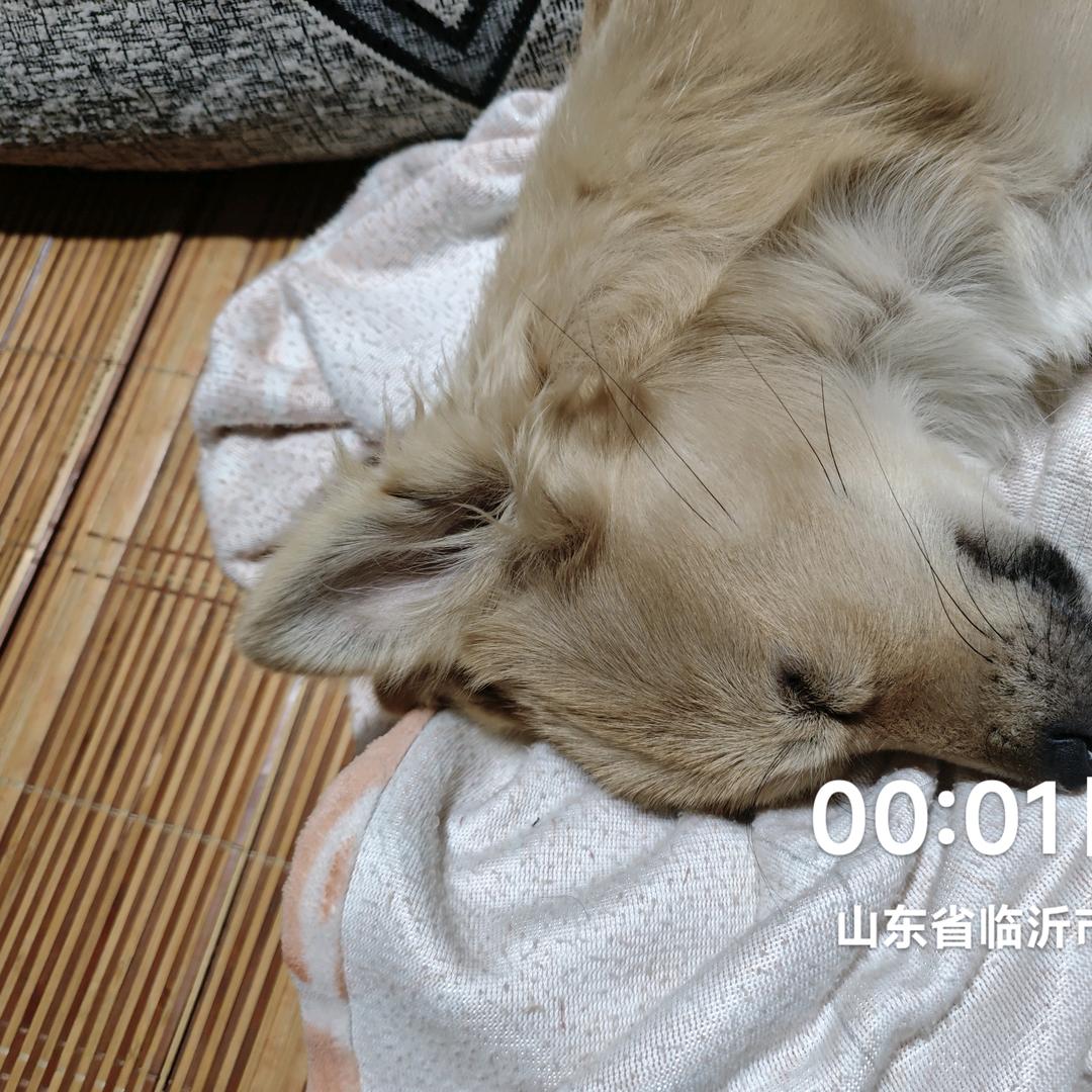 用户5320941907869