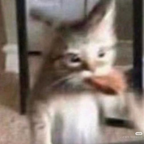 菟