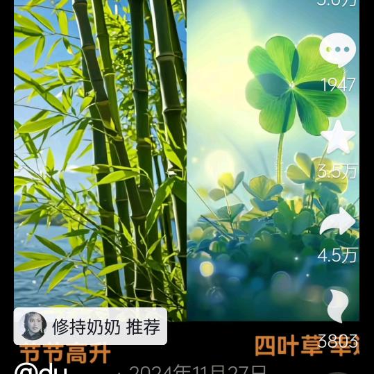 内外兼修