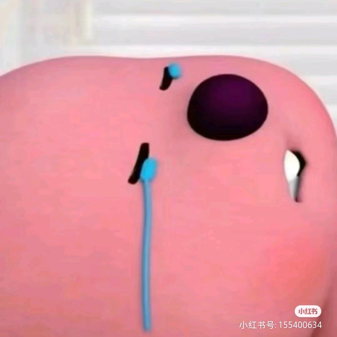 秒懂算法