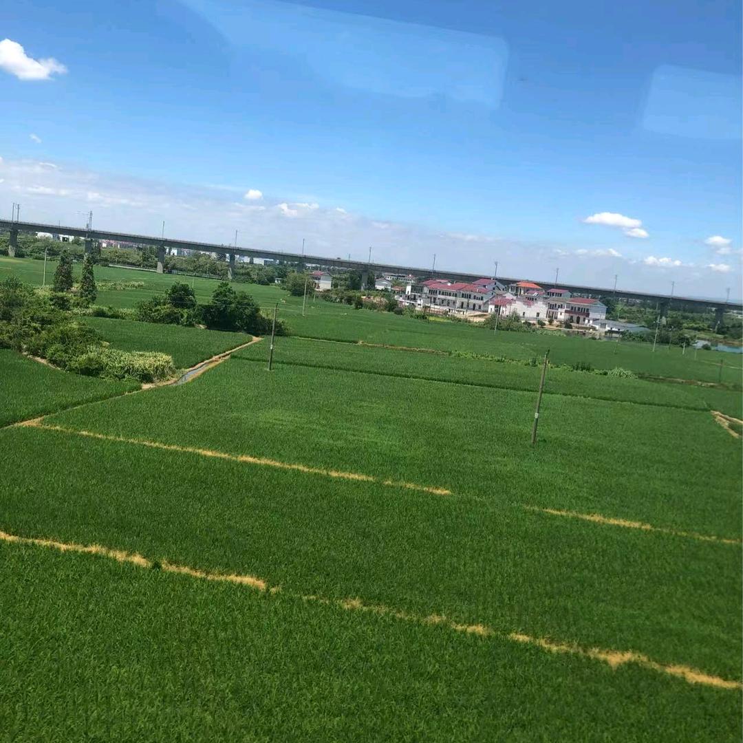 福气满满