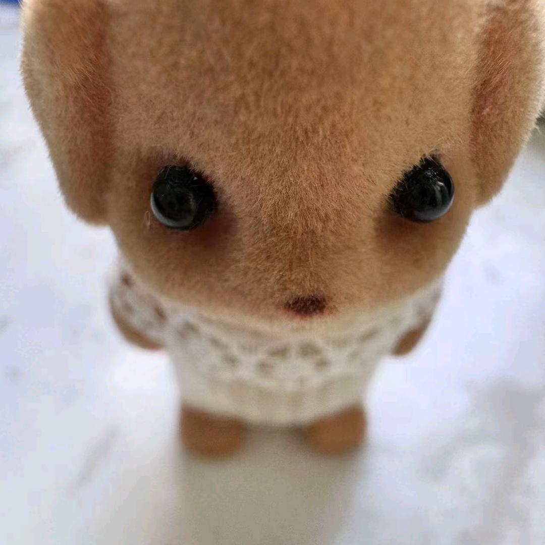 咕咕叫