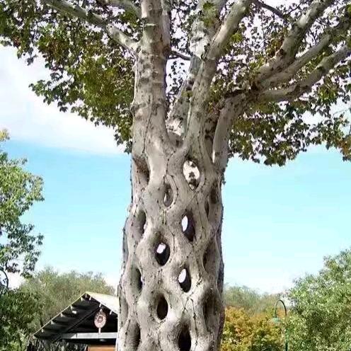 三哥