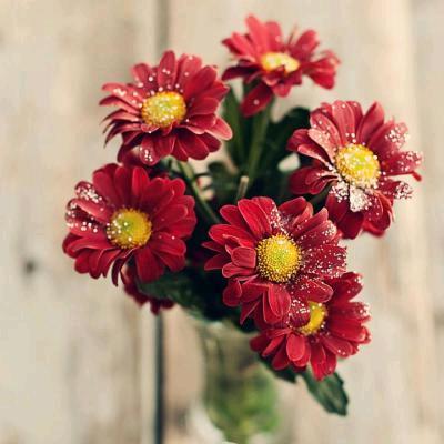 不发胖只发💰财ഒᩚ࿐