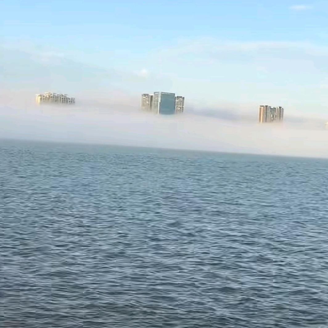 随风飘娜
