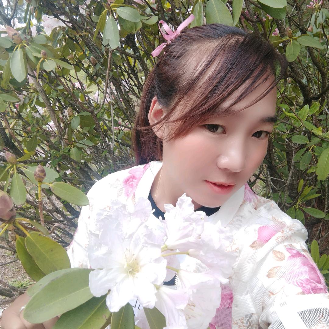 兰花
