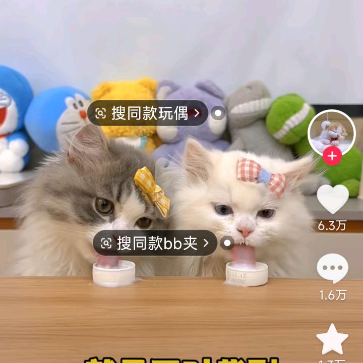 蛋仔派对，冲冲冲！
