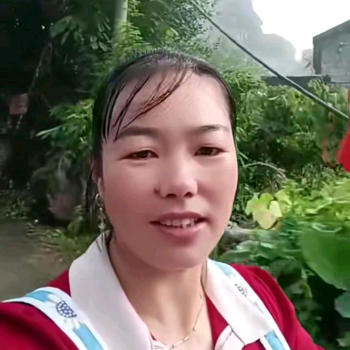 春天雨