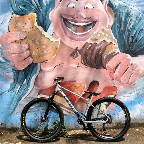 MTB-姜