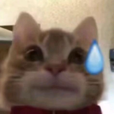 我不是卡布达ⁱᵏₐ