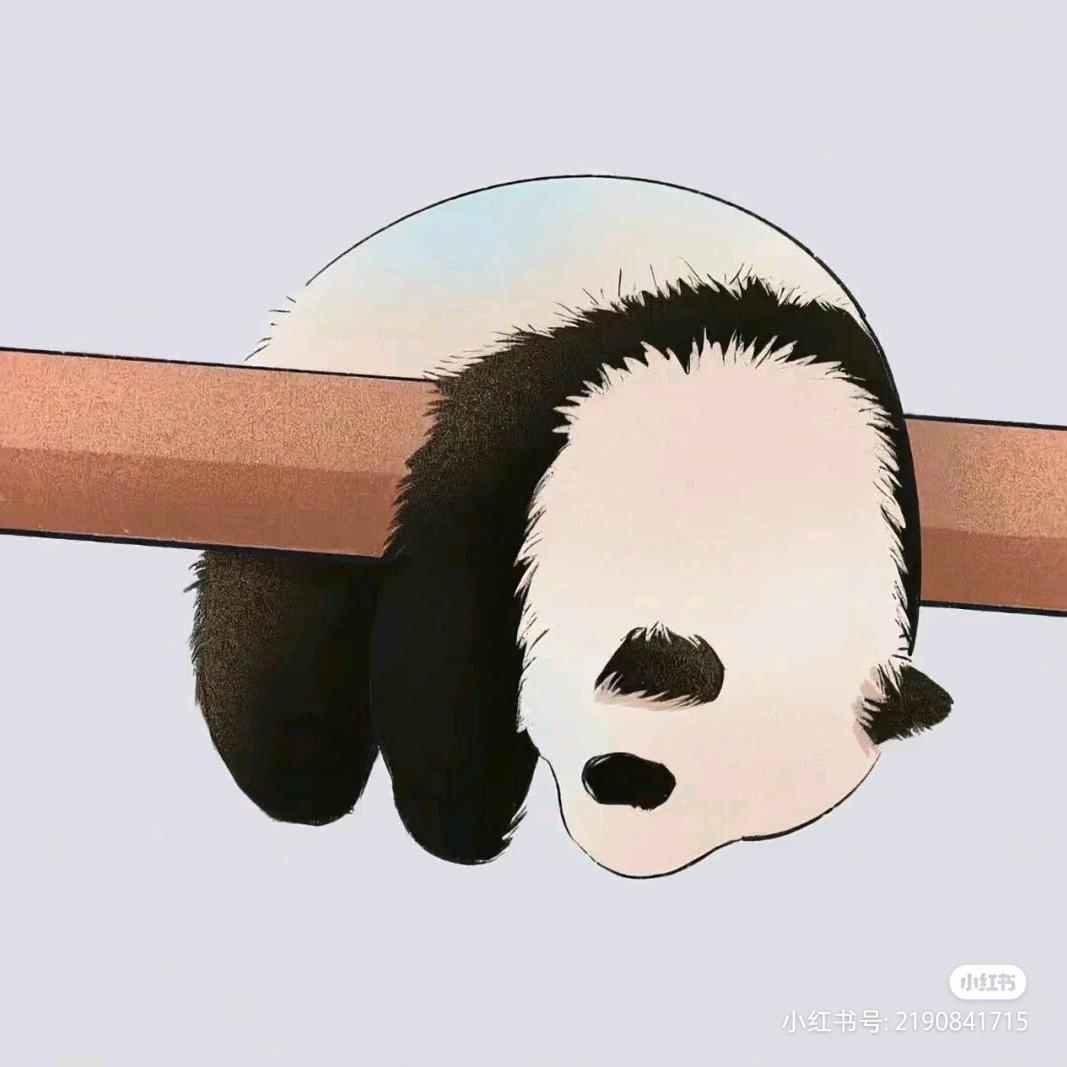 神奇的木屑