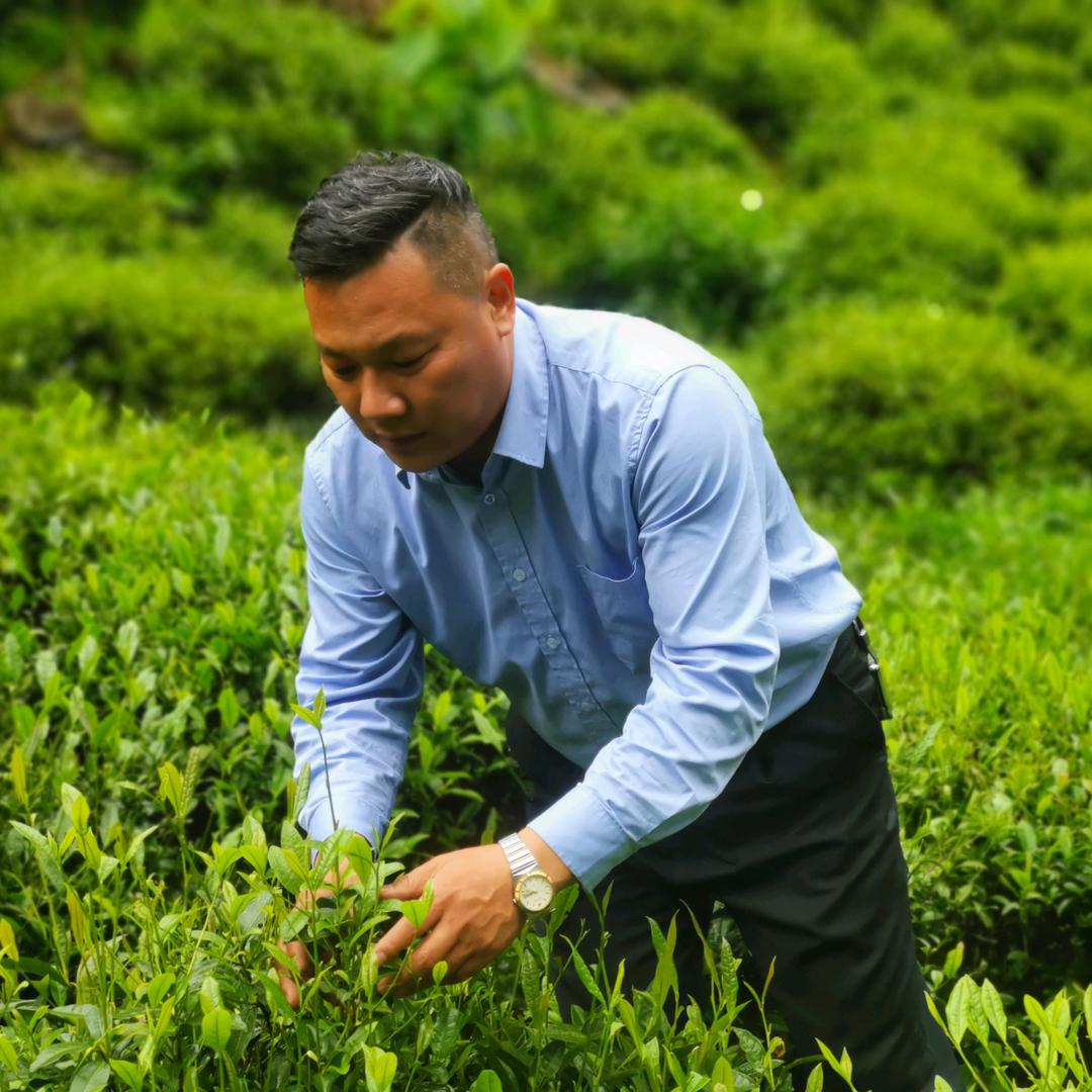 霍邱聚源茶行