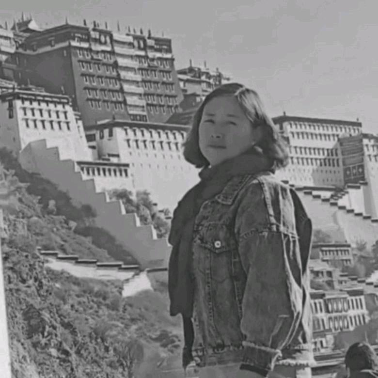 幽然入境陈