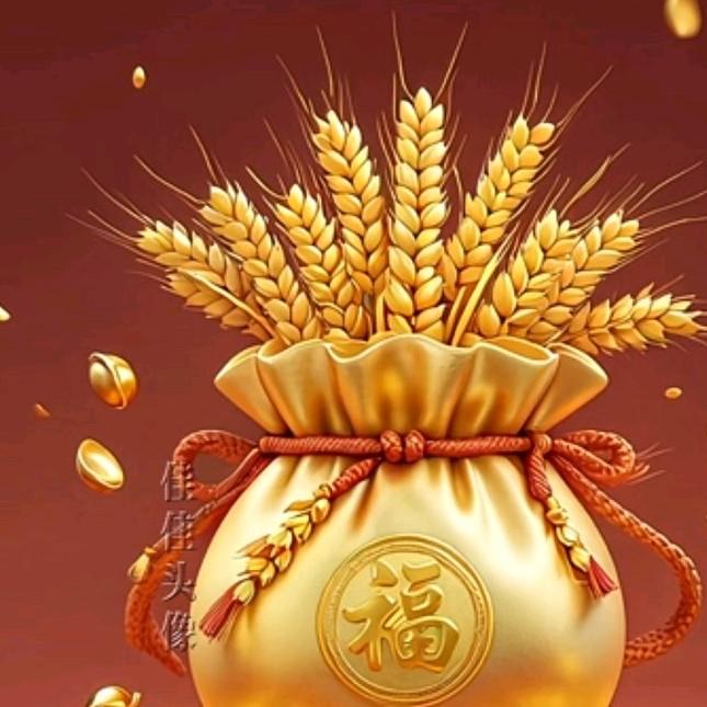 板芯厂家