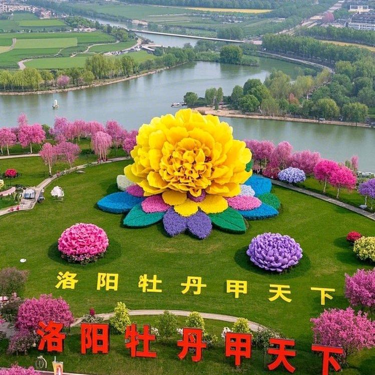 洛阳牡丹花会旅游指南