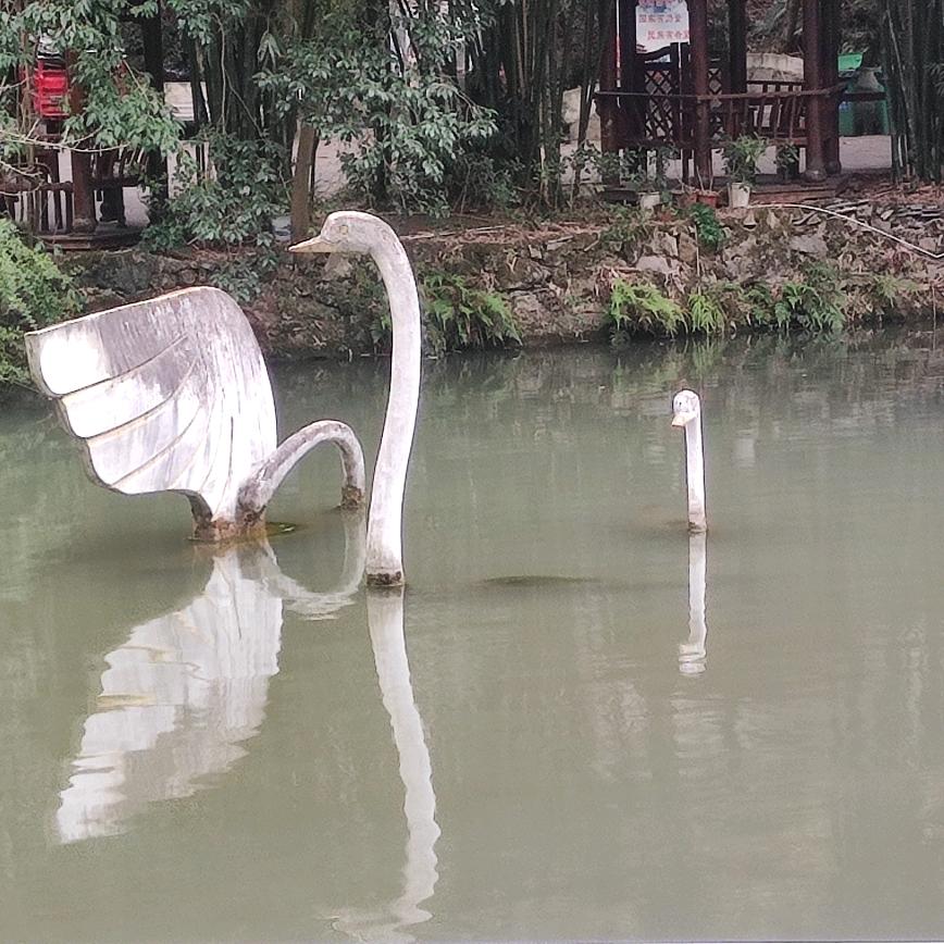 贵州哥