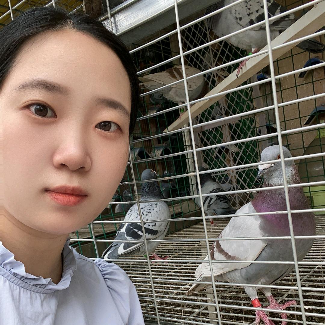 飞羽江湖