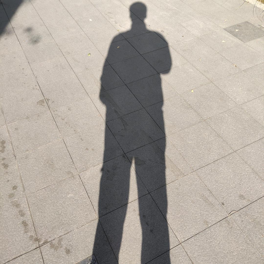 董学弟（努力挣钱版）