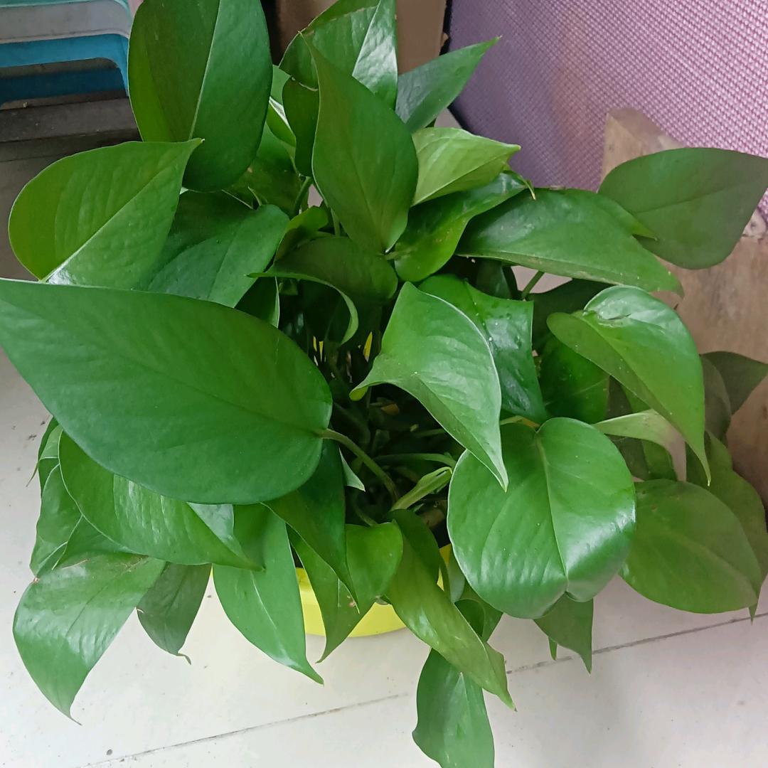 顺其自然。