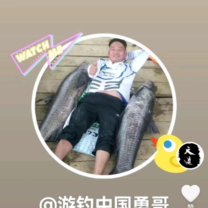 游钓中国勇哥