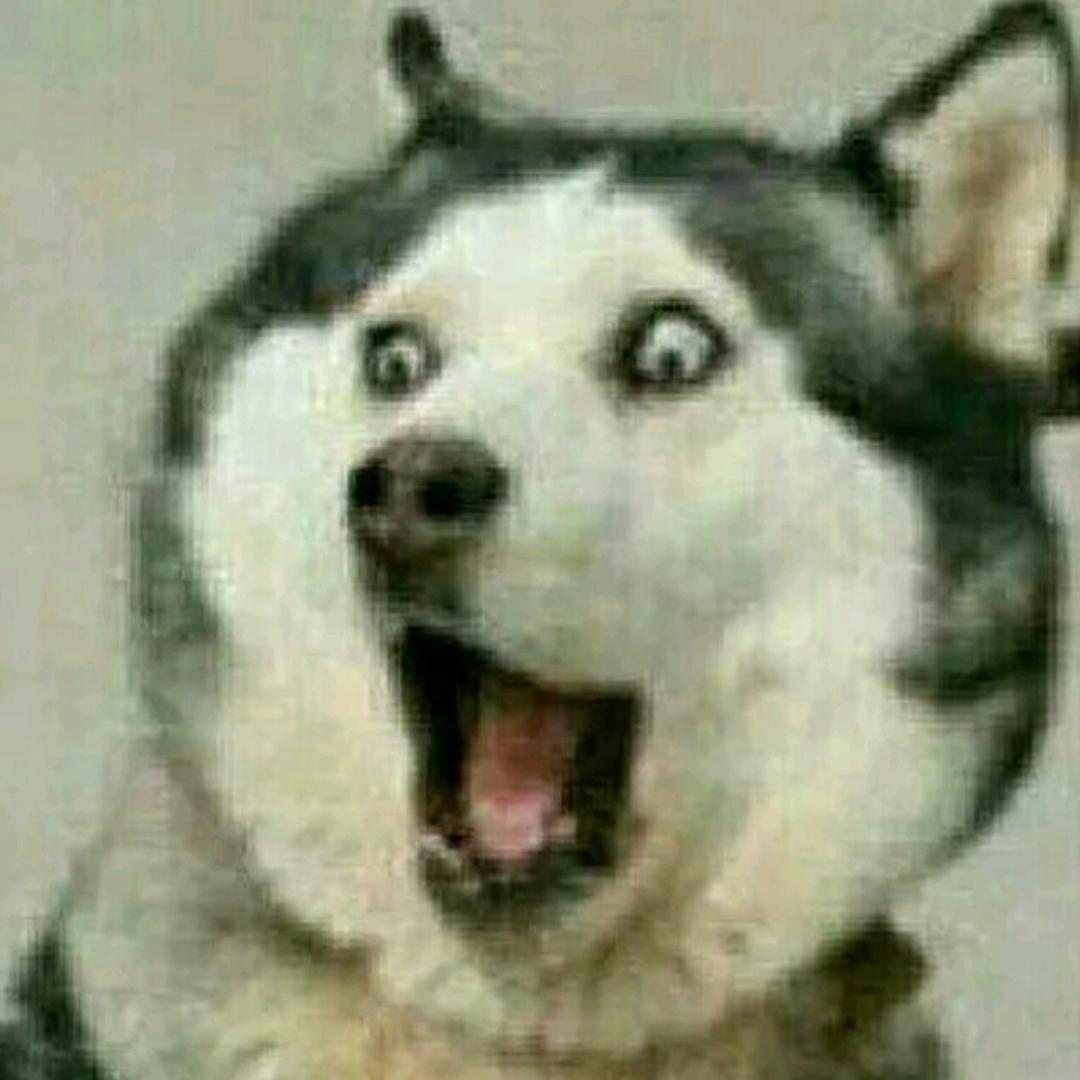 小号没人