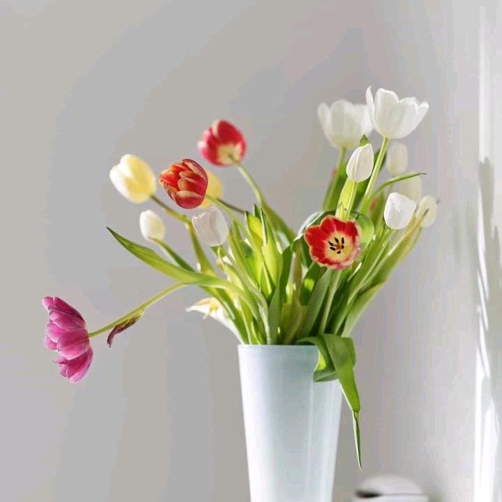 忘掉过去
