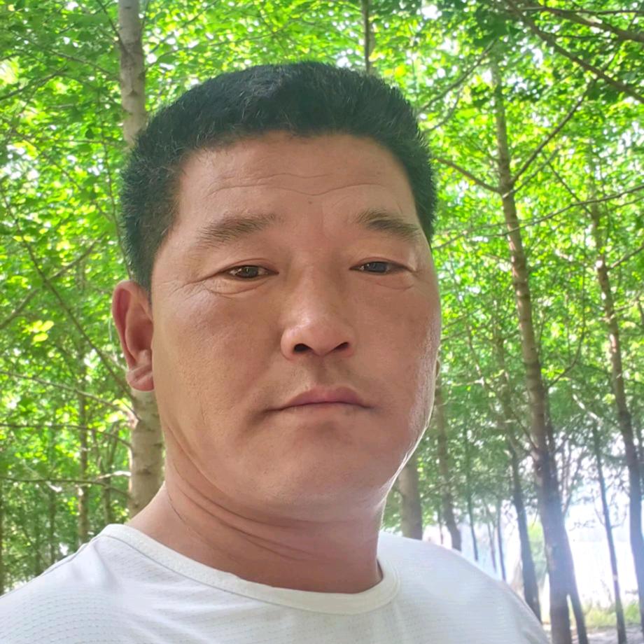 专业搞绿化工程