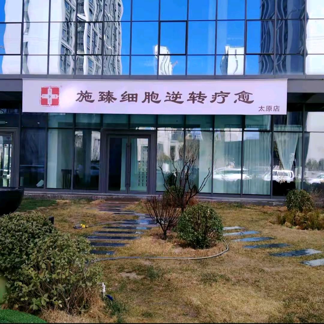 施臻.龙龙