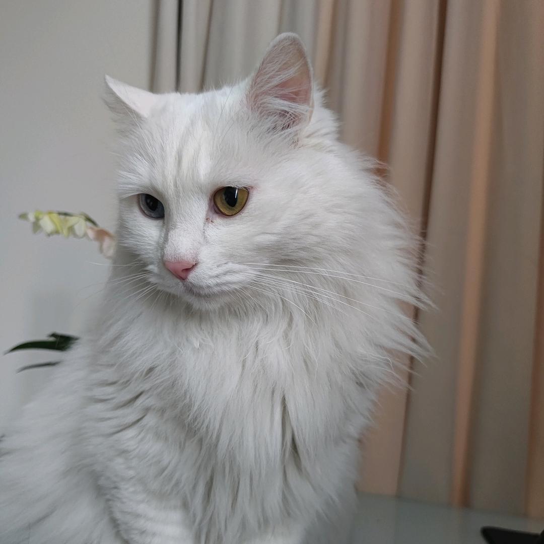 WY