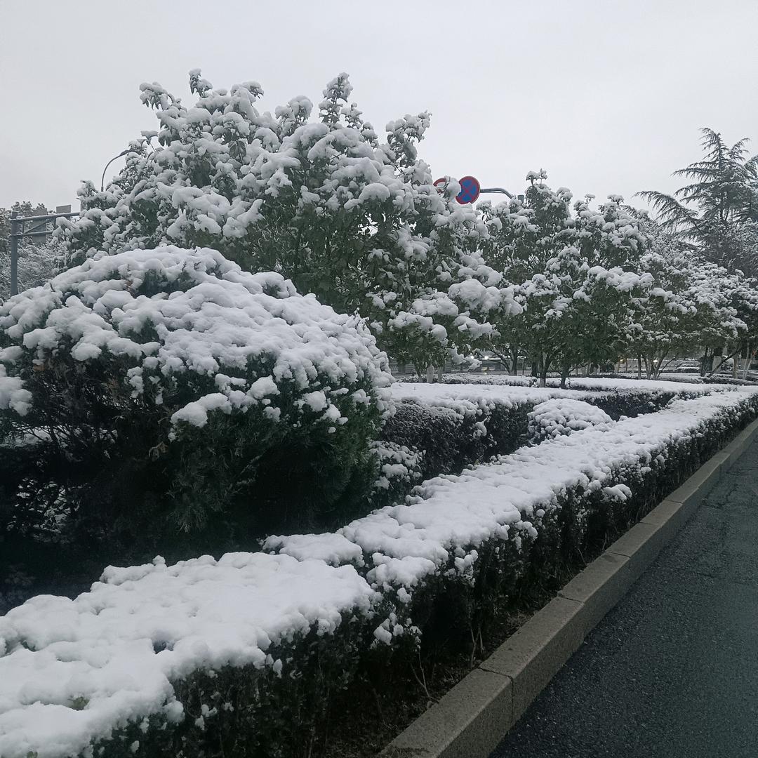 用6963083117429老郑