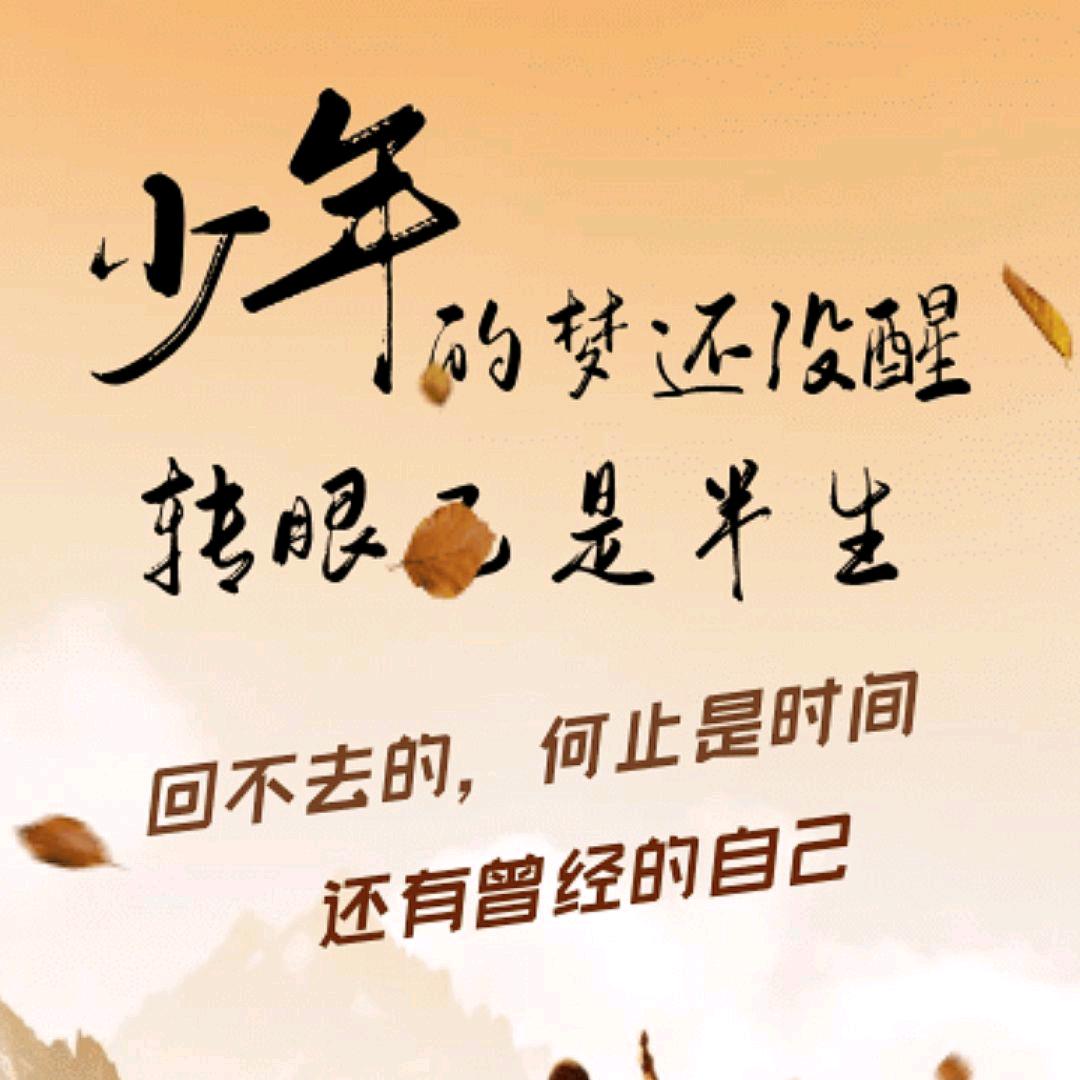 狼行万里