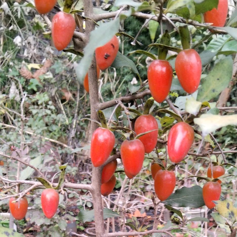 户外小陈🐝🐒🐰