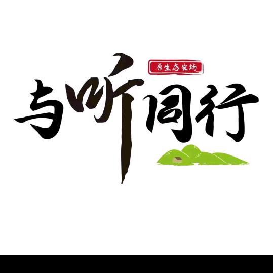 与听同行助理