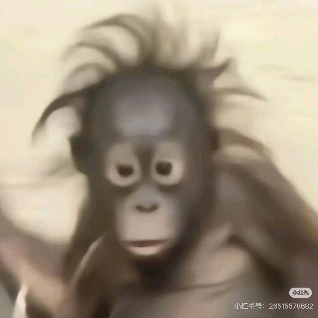 𝓕.星星