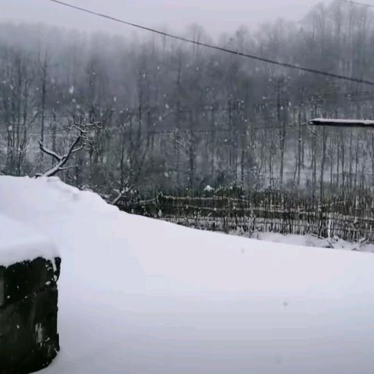 2023冬天的雪花