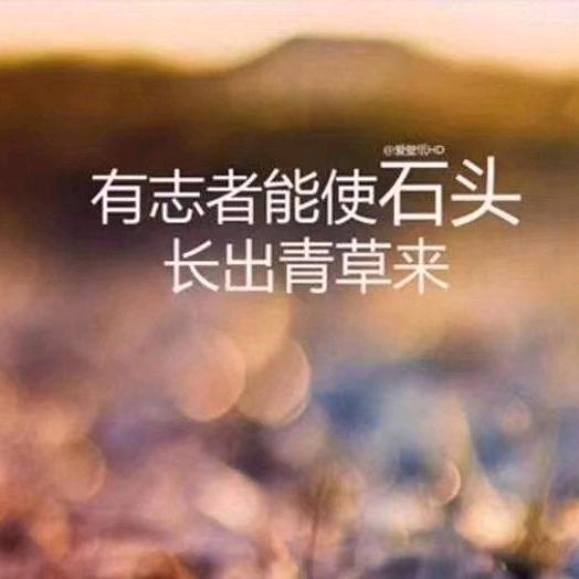 美好时光🐟🐟