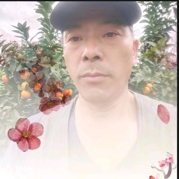 二哥短剧场