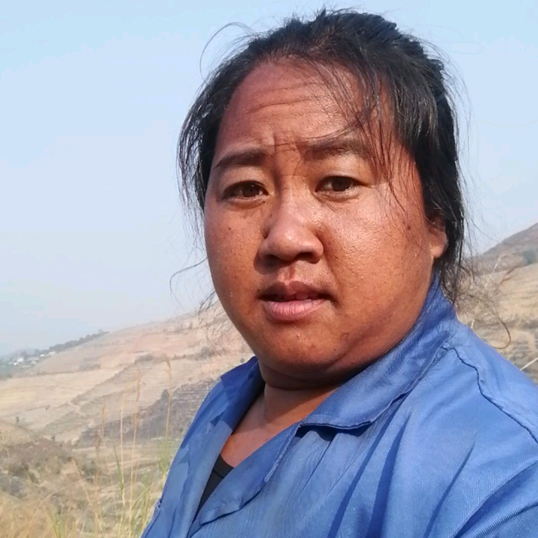 云南阿菊