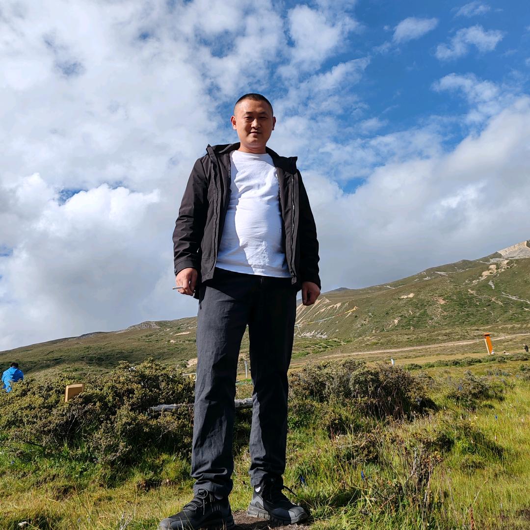 大小挖机装载机出租