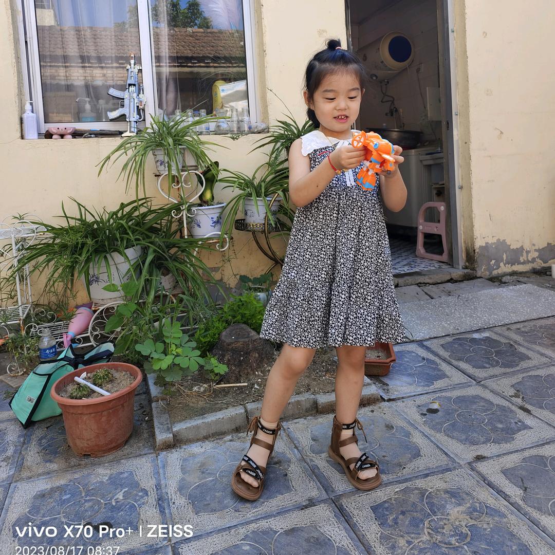 凤凰涅槃，浴火重生