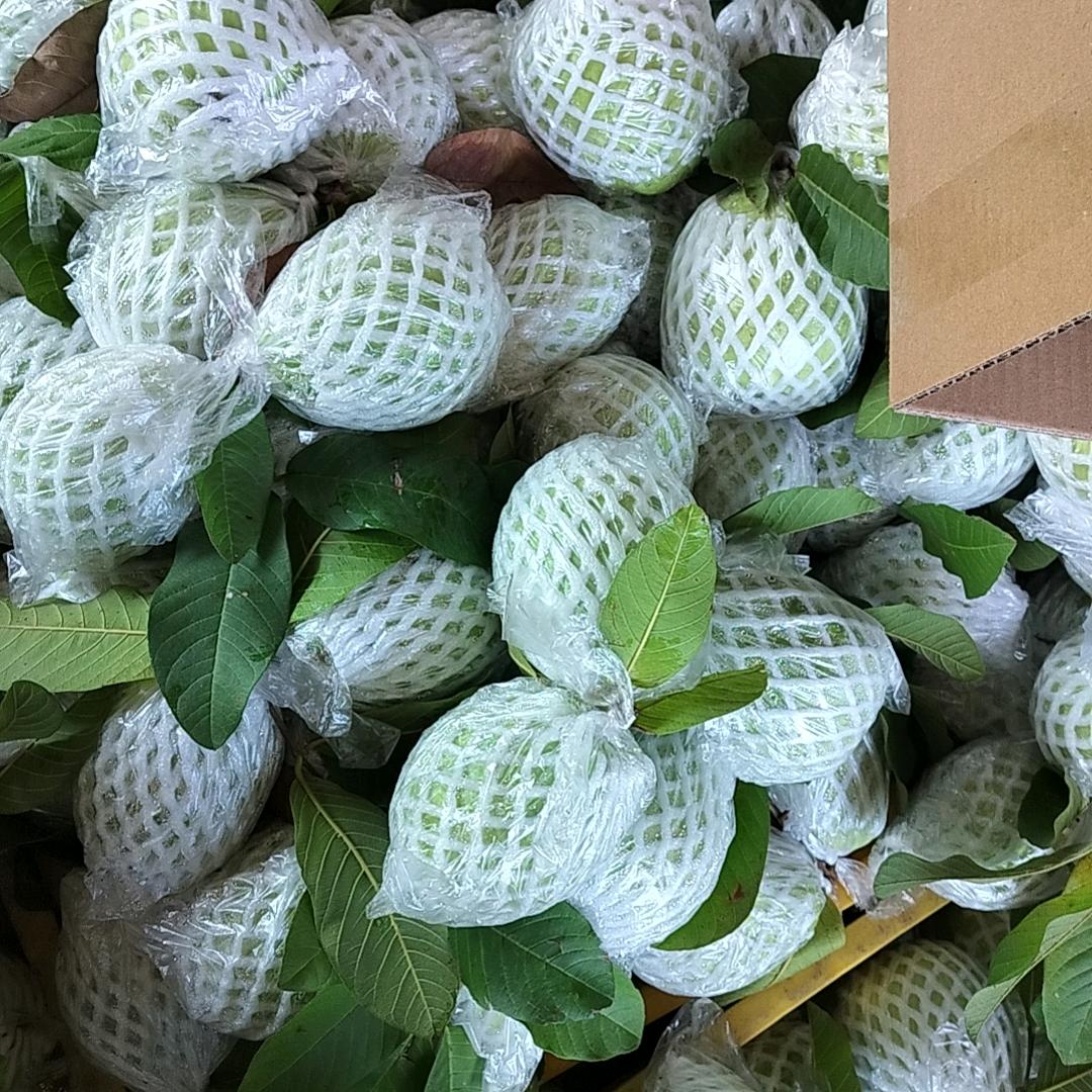 土货水果石榴曾广林181697244