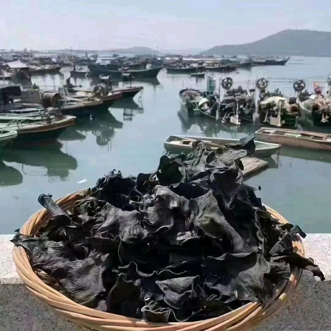 促洛海带头源头