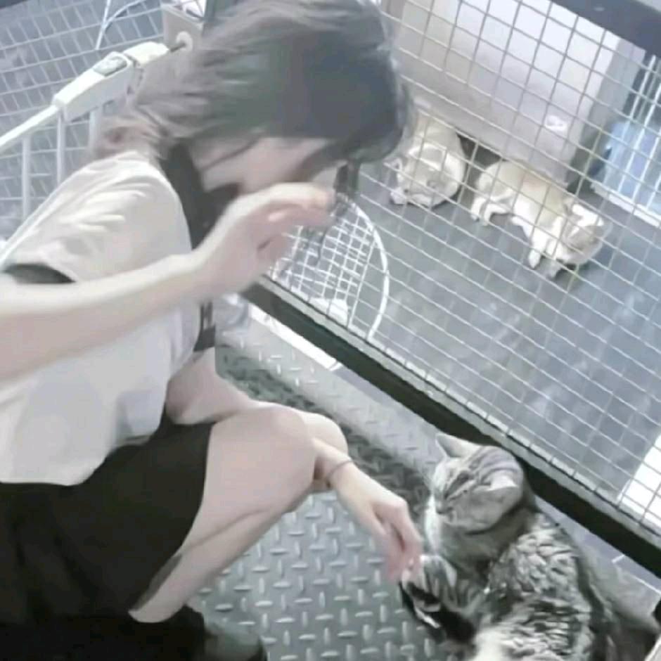 小小意