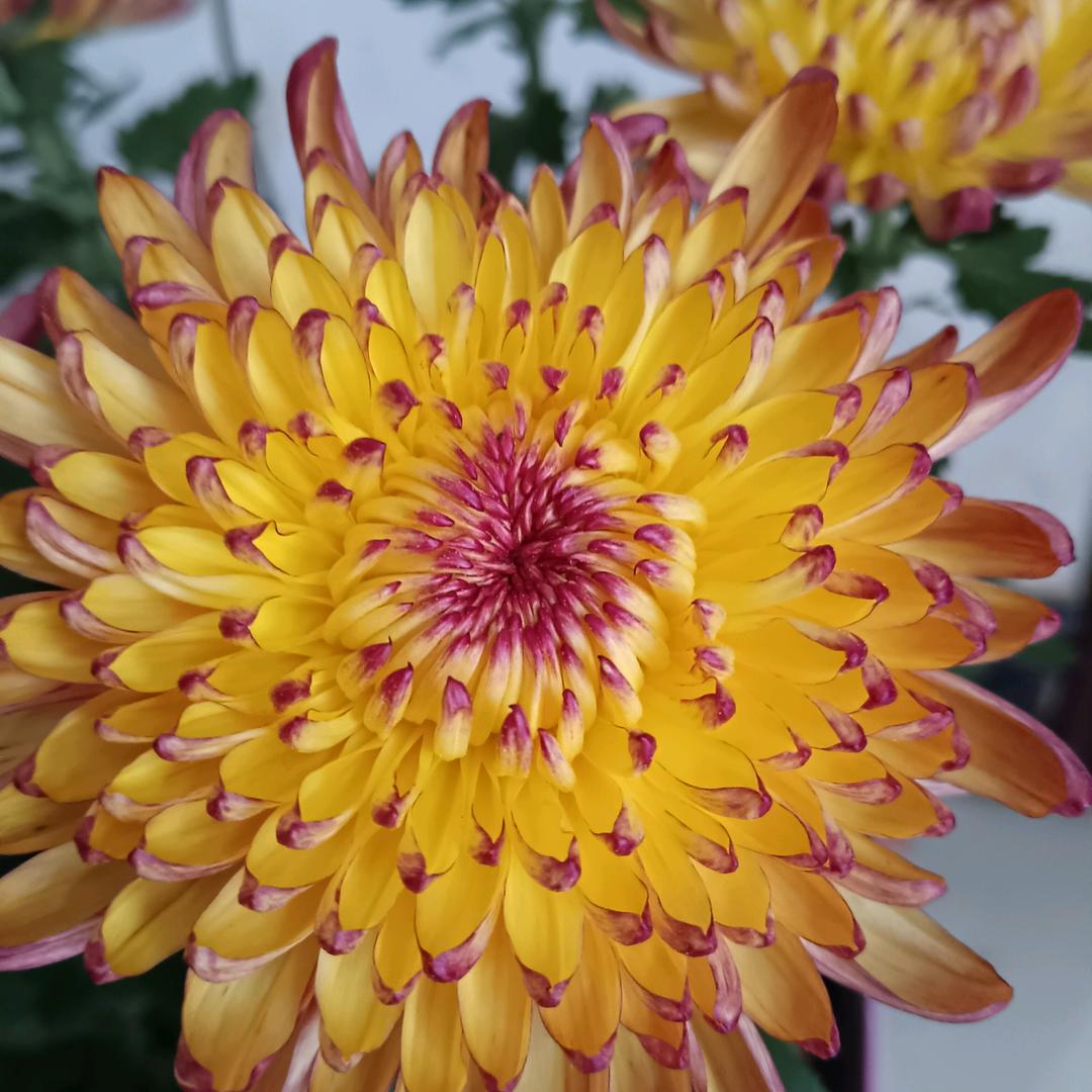 天上飘来五个字