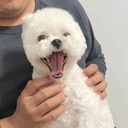 JYJEY