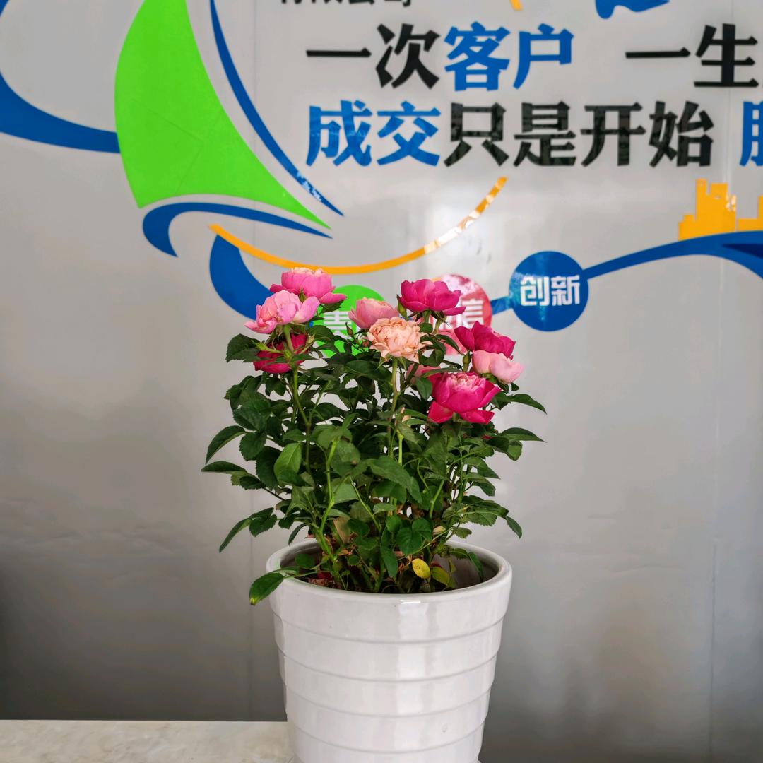 逸飞人力资源