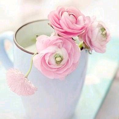 沉默是金🌹🌹