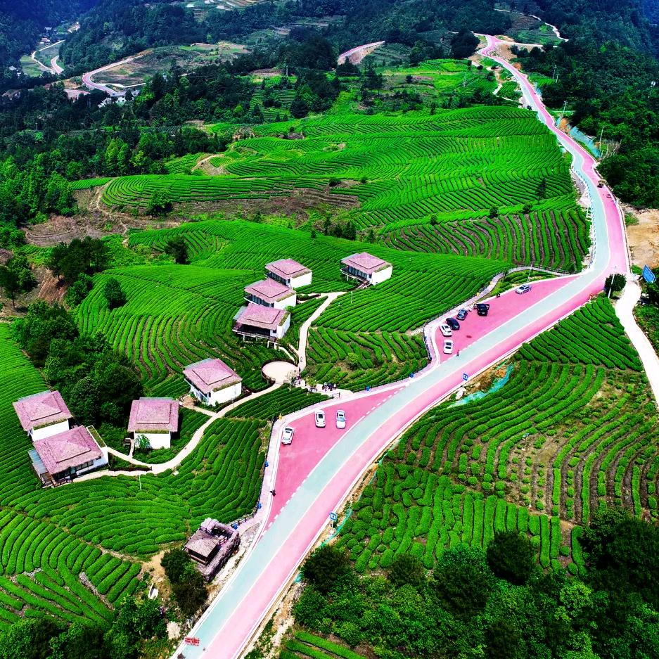 冬天的太阳232012270